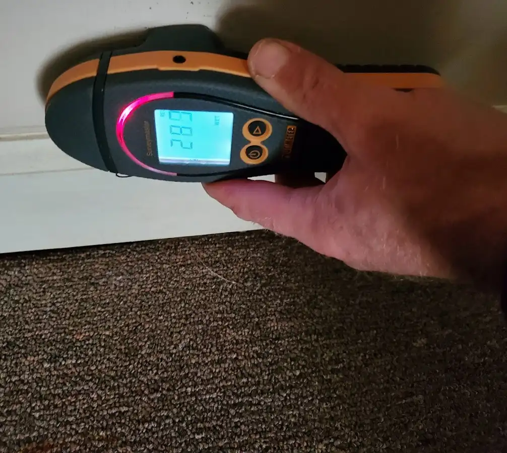 Moisture detection at baseboard during Sewage Cleanup & Sanitation in Norwich